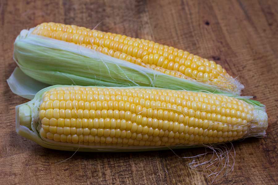 Влагоотдача кукурузы в период созревания
